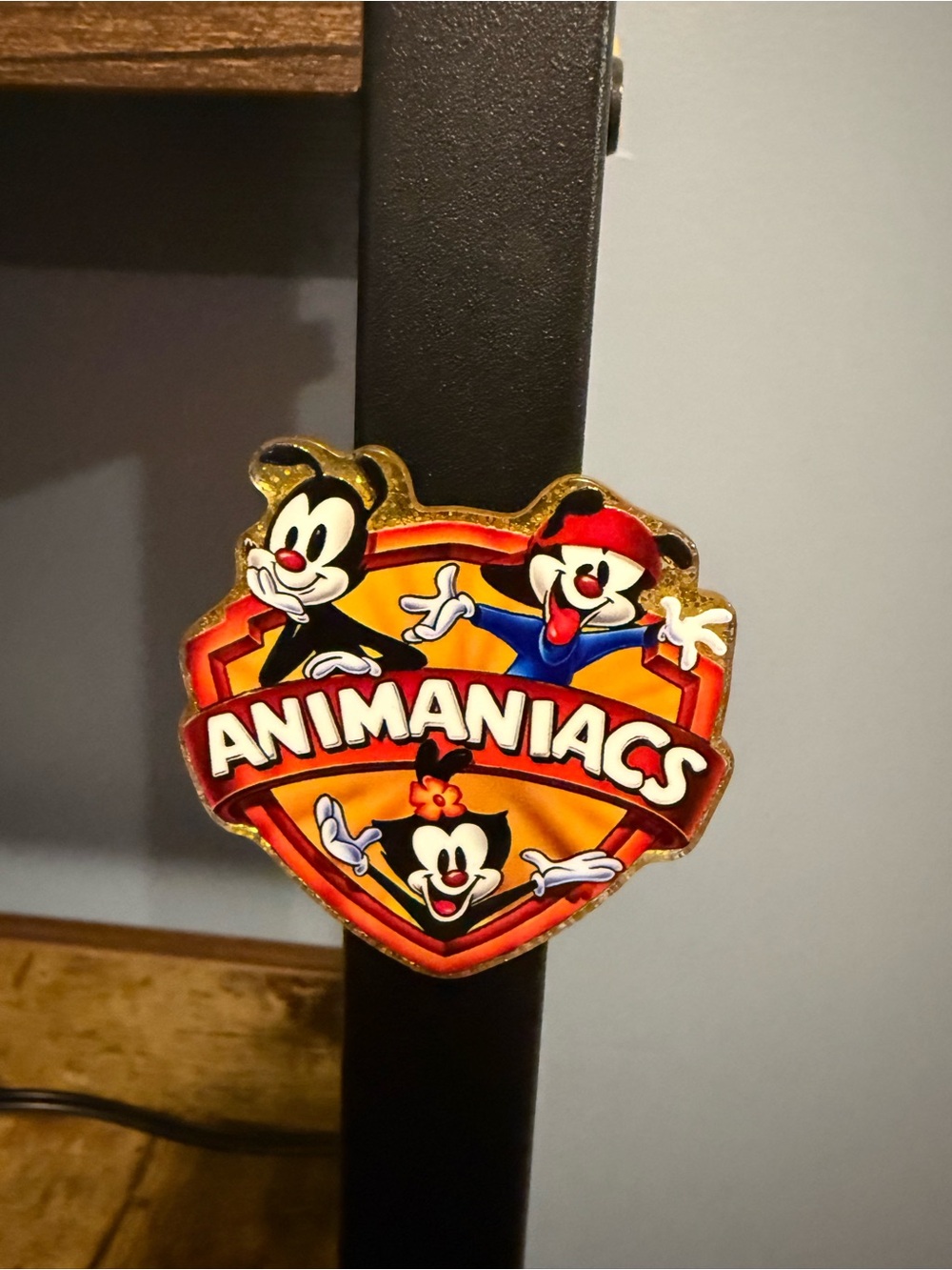 Animaniacs Acrylic Magnet